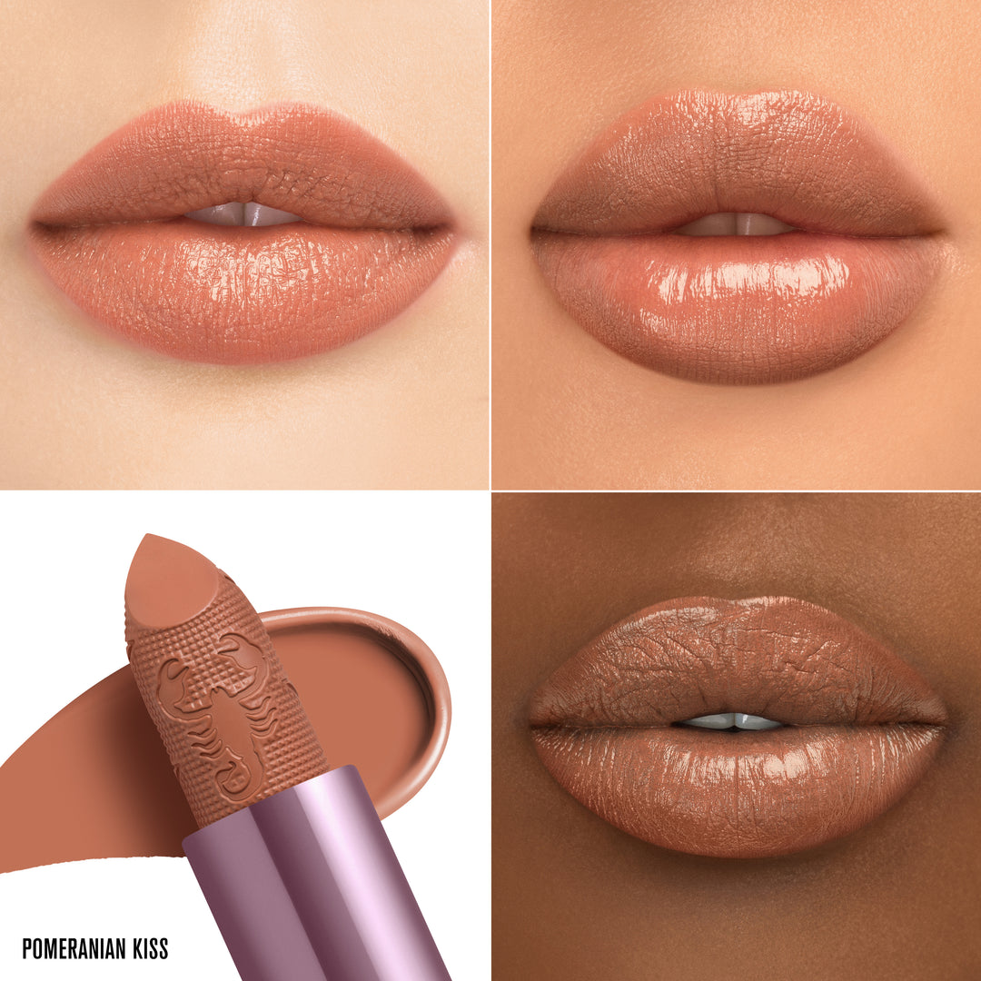 Pomeranian Kiss