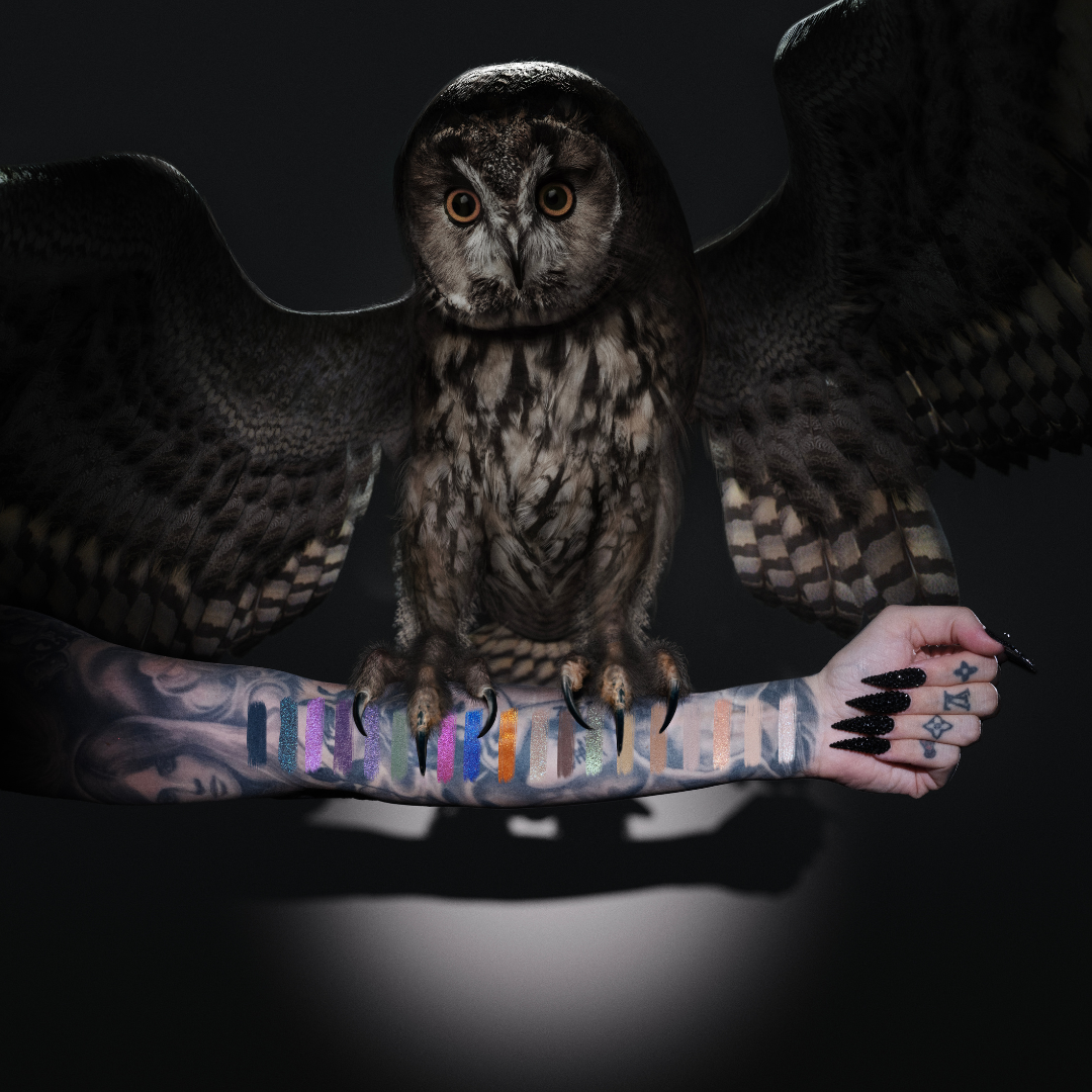 Night Owl Artistry Palette