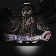 Night Owl Artistry Palette