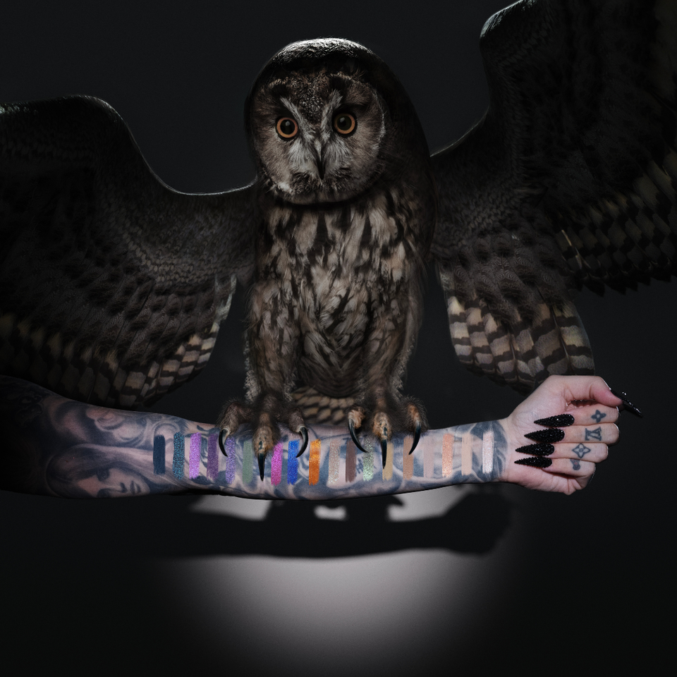 Night Owl Artistry Palette view 2