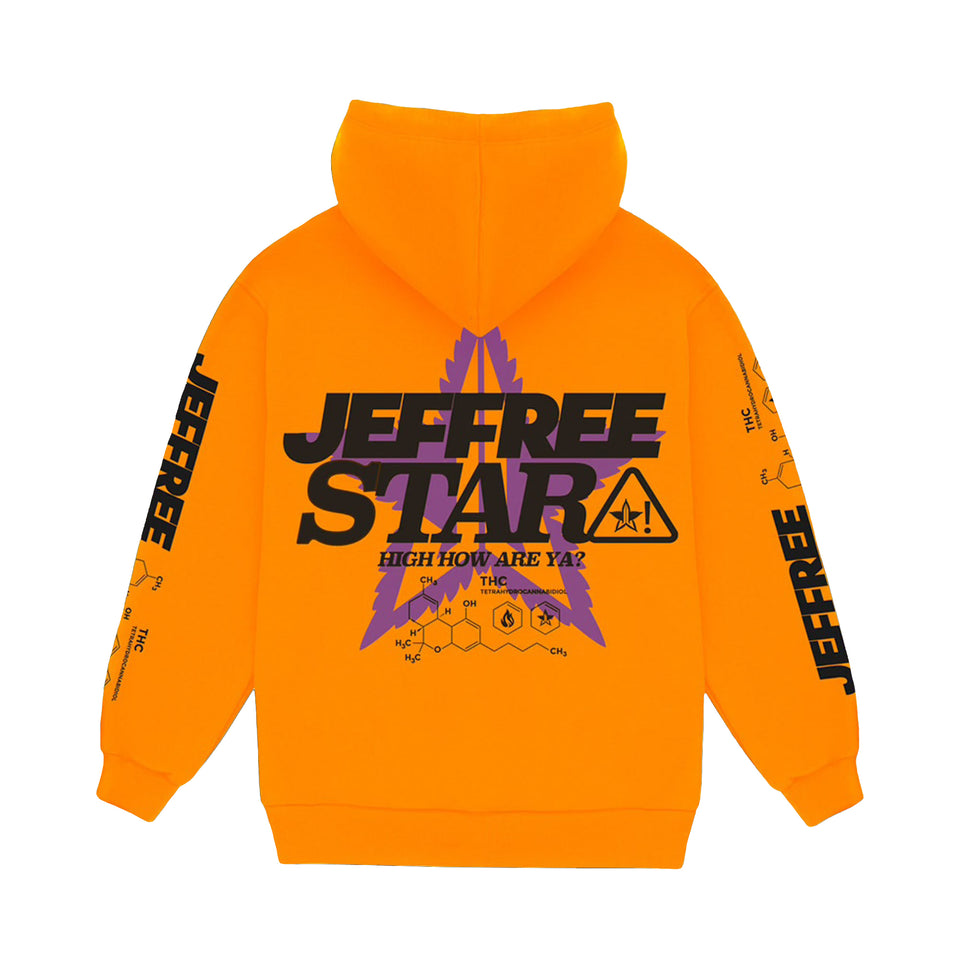 THC Neon Orange Hoodie