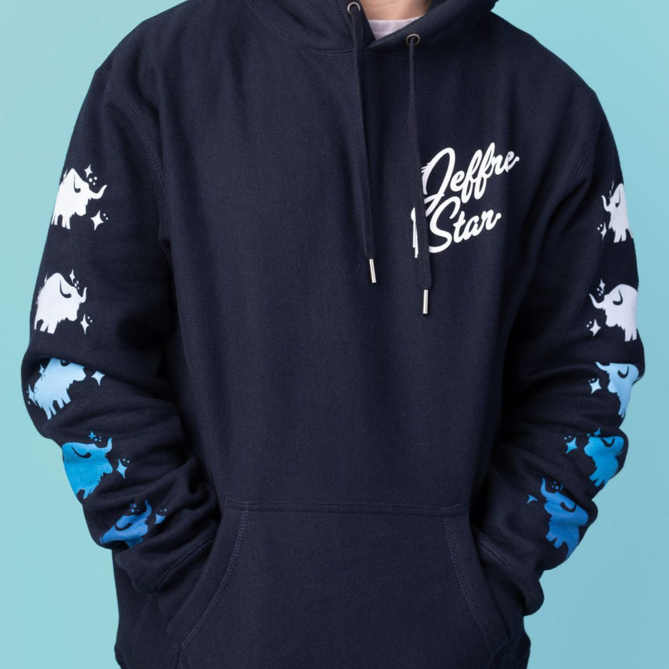 Wyoming Winter Navy Hoodie