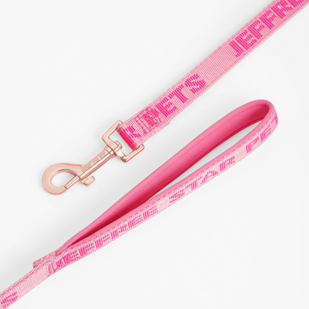 Woven Pink Leash